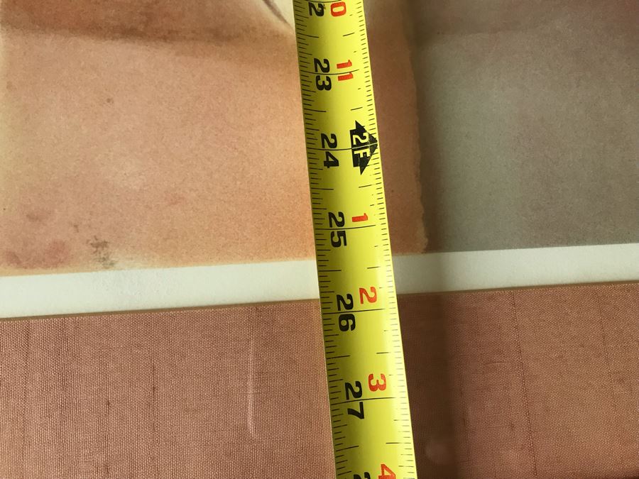 Jean Jacques Balitran Framed Hand Signed Lithograph Titled 'Woman And Dove' 11 Of 250 Appraised $525 In 1986 With Certificate Of Authenticity [Photo 13]