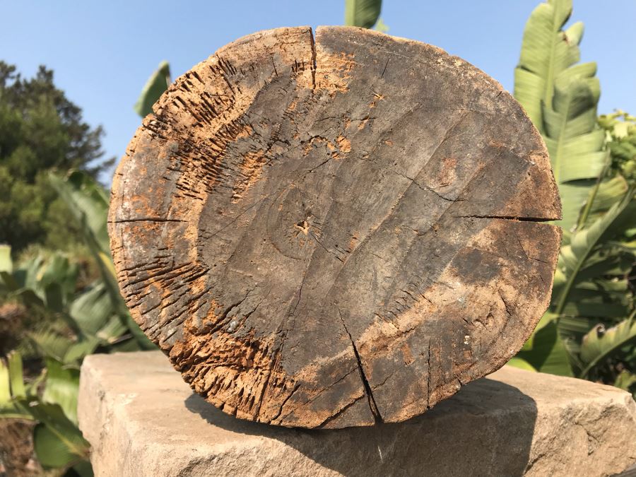 Large Antique Thai Hand Carved Hand Painted Wooden Statue Showing Man Wrestling With Dragon Serpent 9W X 24H [Photo 26]