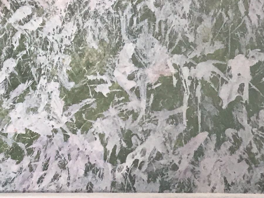 Original Miguel Dominguez Fine Art Watercolor Painting Titled 'Summer Color' Carmel, CA Landscape Painting 14 X 10 [Photo 10]