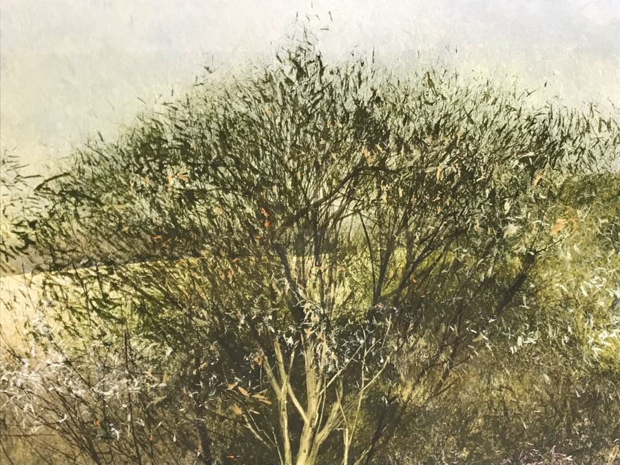 Original Miguel Dominguez Fine Art Framed Watercolor Painting Titled 'Santa Lucias In December' 1982 Carmel, CA Landscape Painting 28 X 22 [Photo 11]