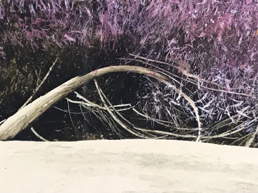 Original Miguel Dominguez Fine Art Framed Watercolor Painting Titled 'Santa Lucias In December' 1982 Carmel, CA Landscape Painting 28 X 22 [Photo 9]