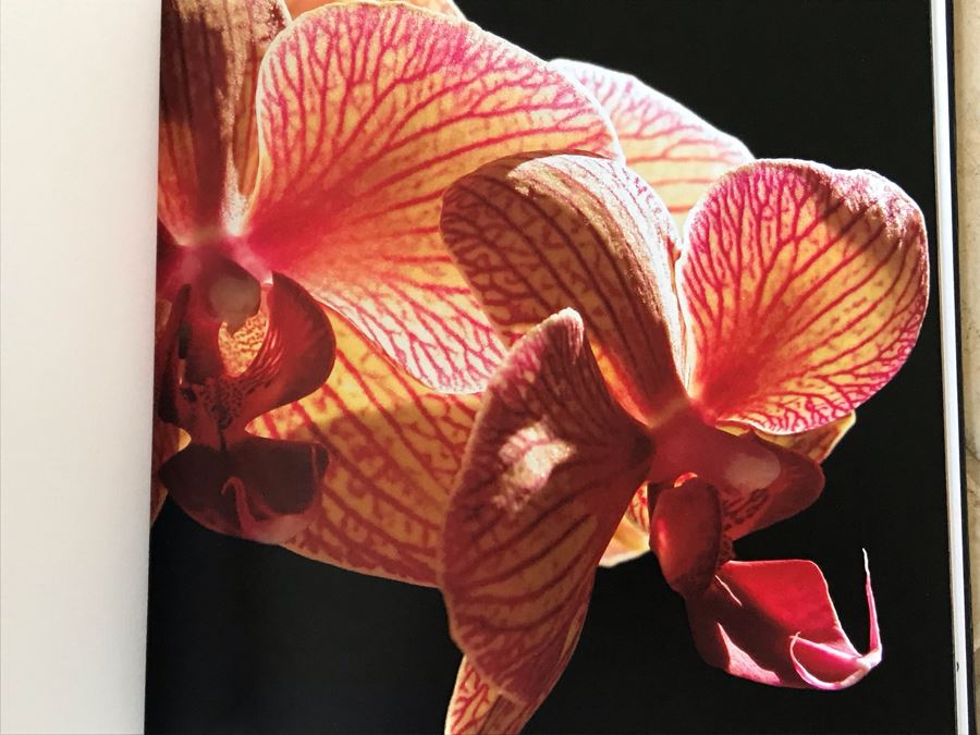 SIGNED Pair Of Photography Books: Flowers By Reute Butler [Photo 5]