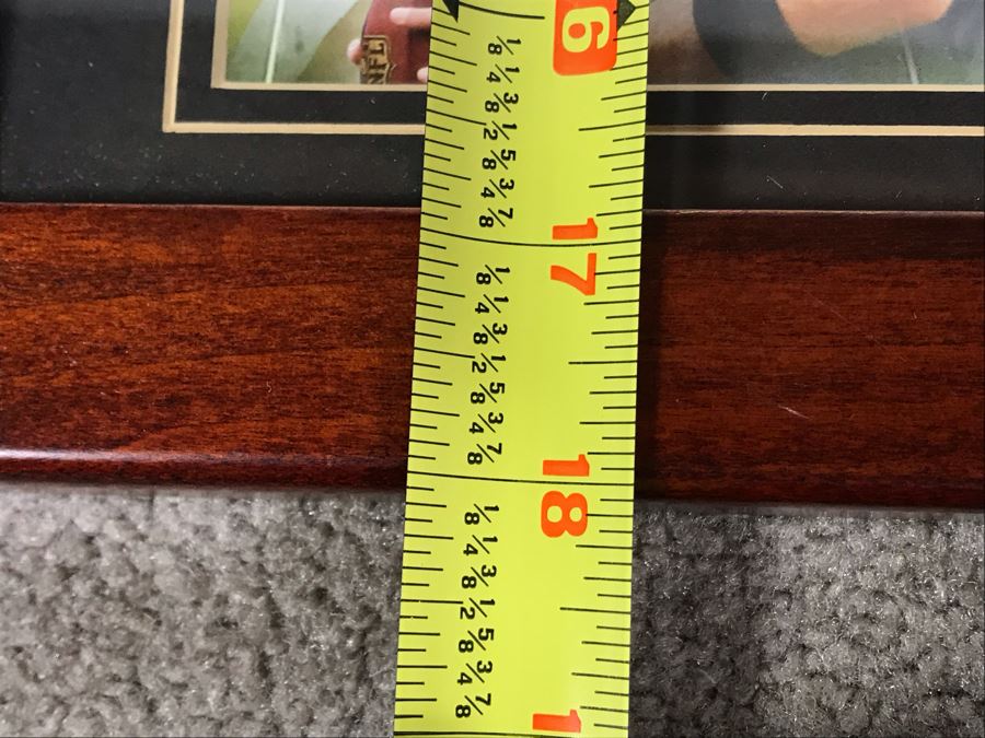 Framed Official NFL Collectible Featuring Brett Favre Highlighting Career High And Tie With Joe Namath's Record Of Six Touchdowns In One Game 14 X 18 [Photo 8]