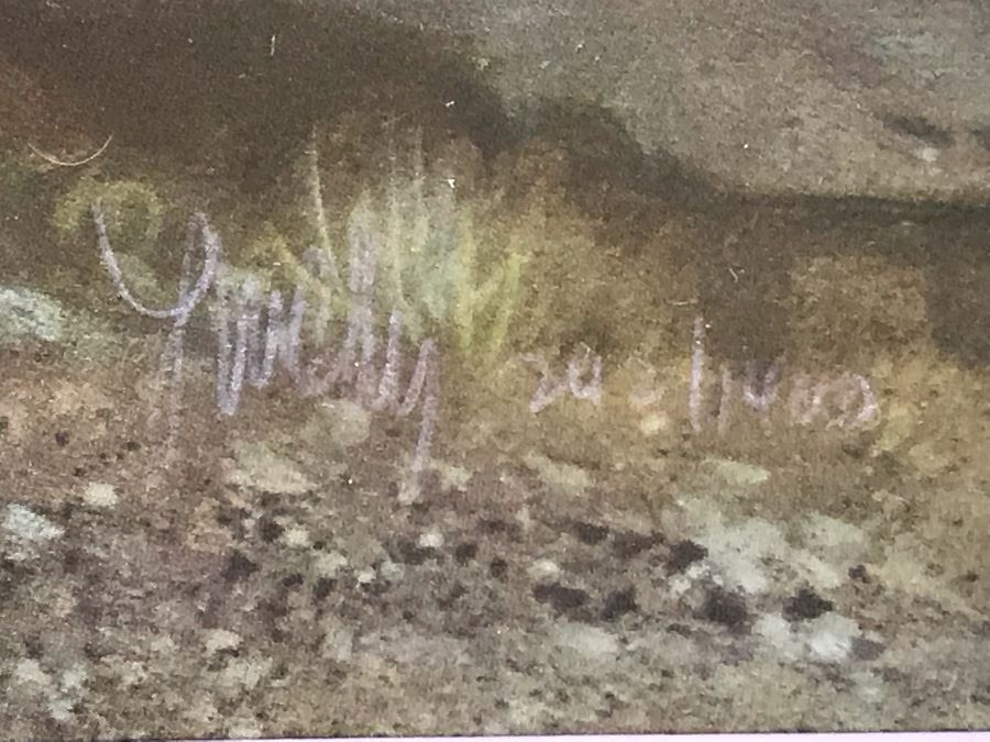 Frank C. McCarthy Signed Limited Edition Lithograph Titled 'Scouting The Long Knives' 32 X 13 [Photo 7]