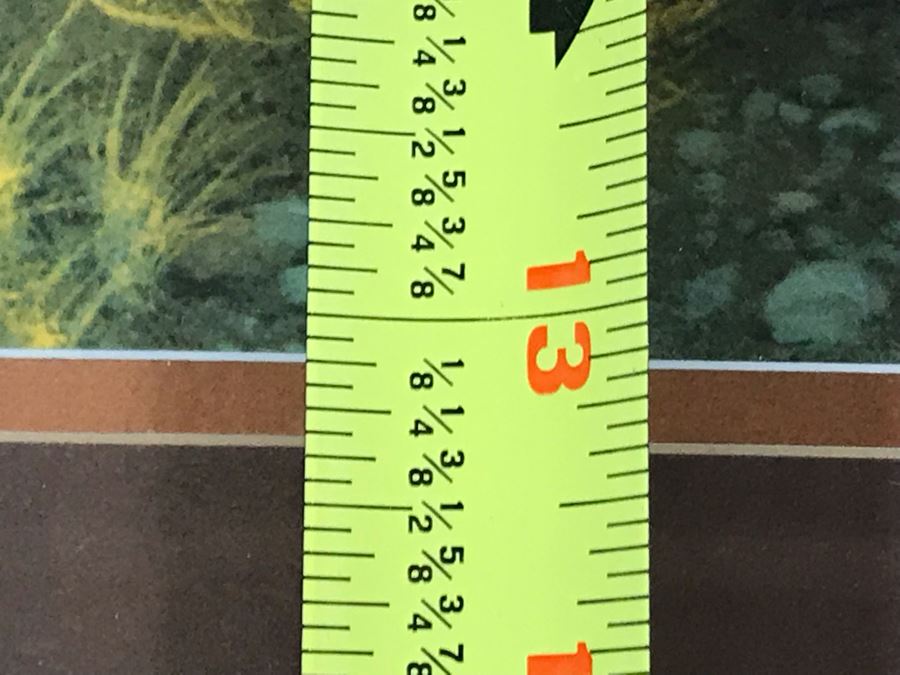 Frank C. McCarthy Signed Limited Edition Lithograph Titled 'Scouting The Long Knives' 32 X 13 [Photo 9]