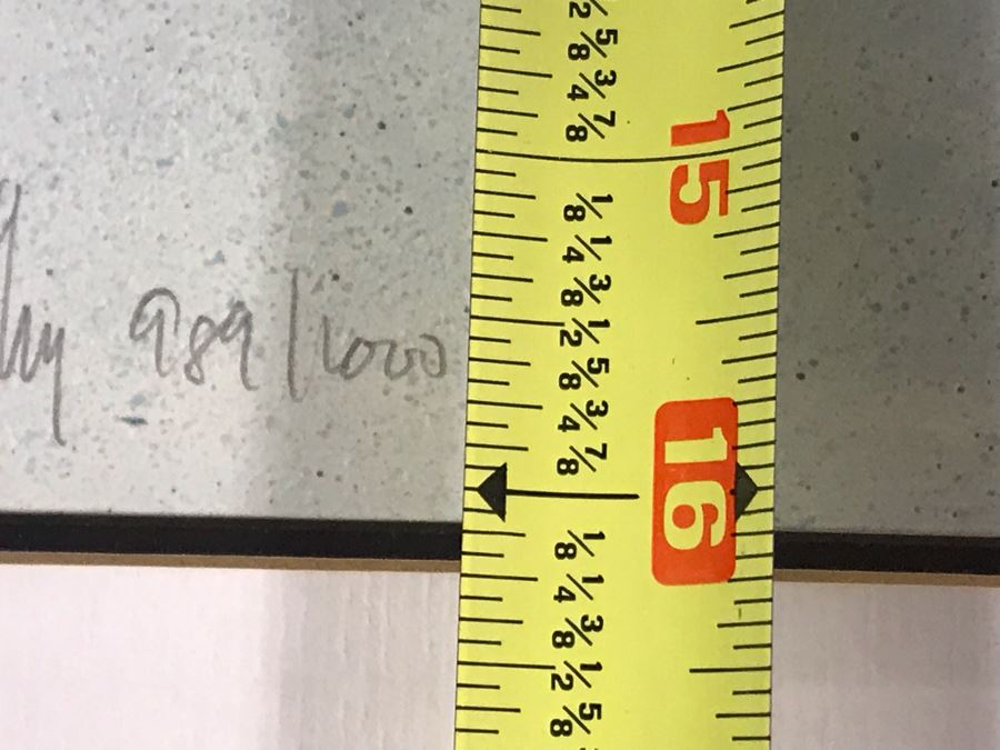 Frank C. McCarthy Signed Limited Edition Lithograph Titled 'Apache Scout' 29 X 16 [Photo 9]