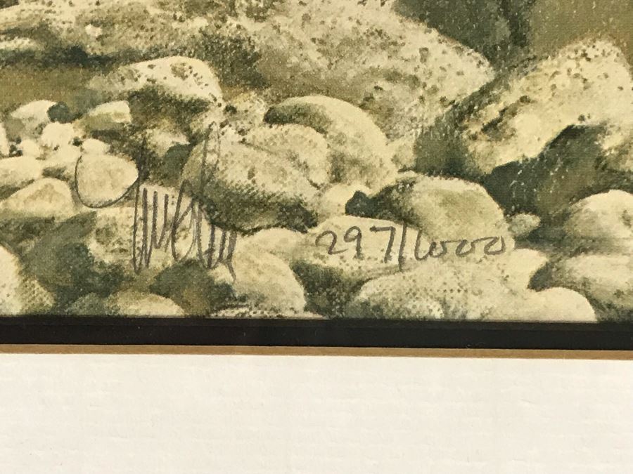 Frank C. McCarthy Signed Limited Edition Lithograph Titled 'Whirling, He Raced To Meet The Challenge' [Photo 8]