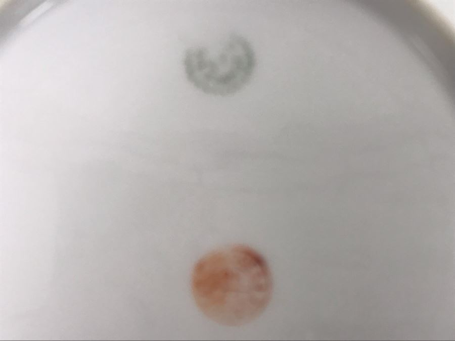 JUST ADDED - Vintage Limoges France Serving Bowl 8.5W X 2H (MOE) [Photo 9]