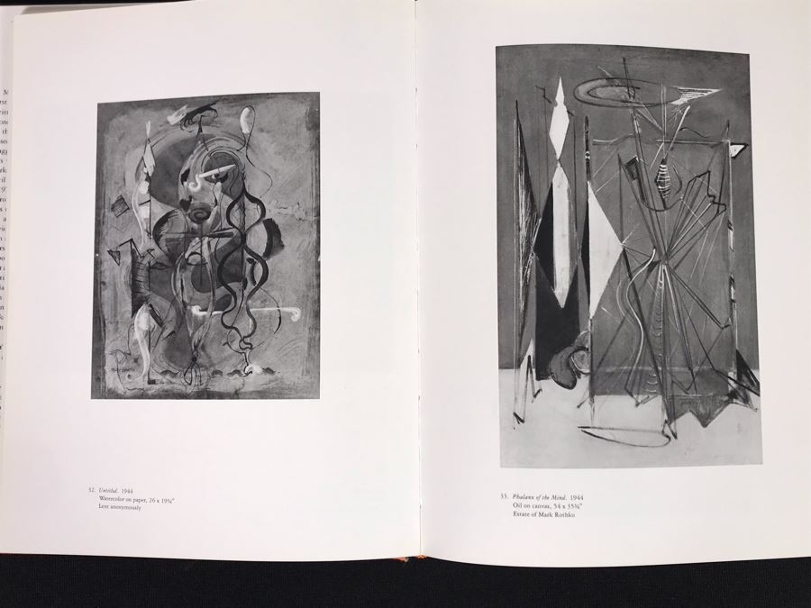 Mark Rothko Art Book Retails $60 (JKE) [Photo 11]