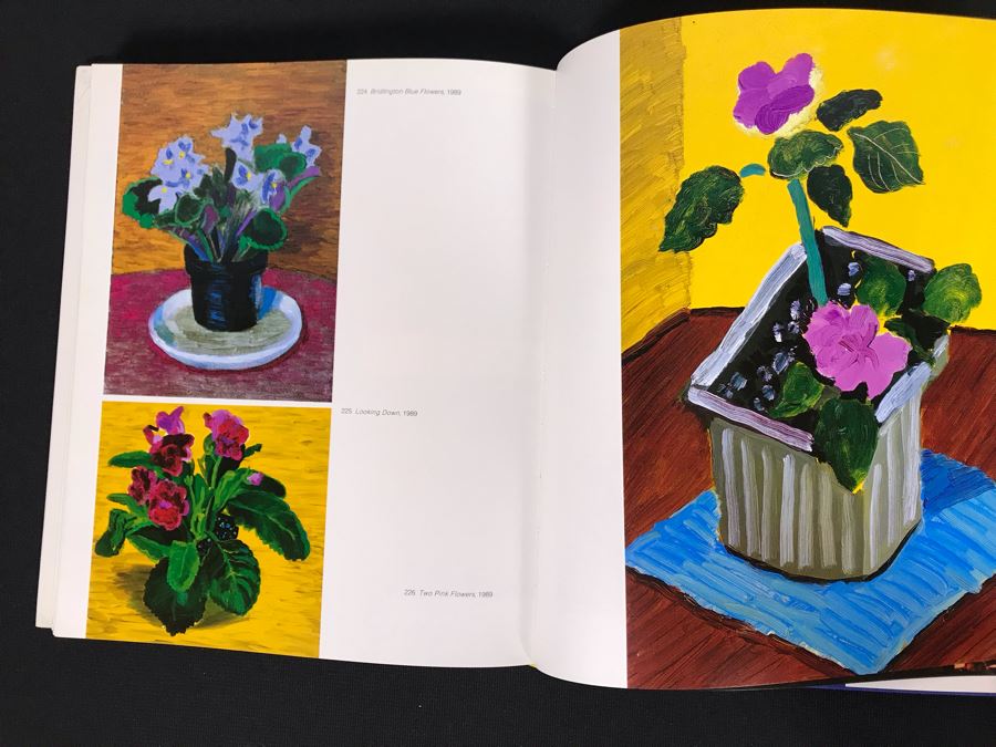 (2) David Hockney Art Books (JKE) [Photo 8]