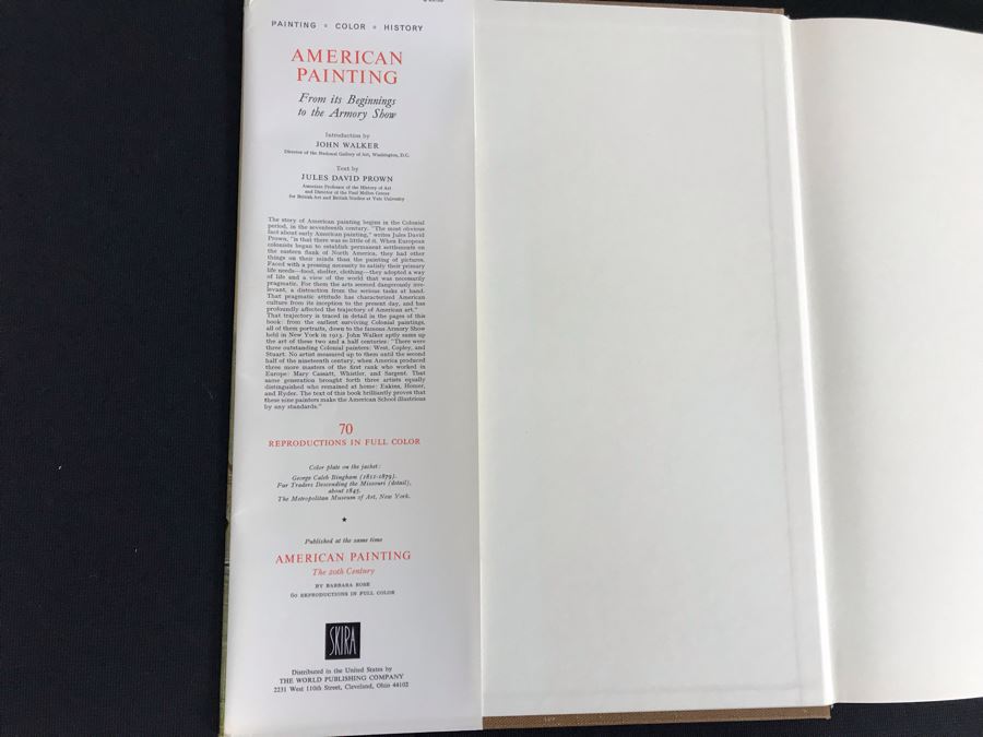 American Painting 2 Volumes Coffee Table Books Box Set 70-80455 Skira (JKE) [Photo 8]
