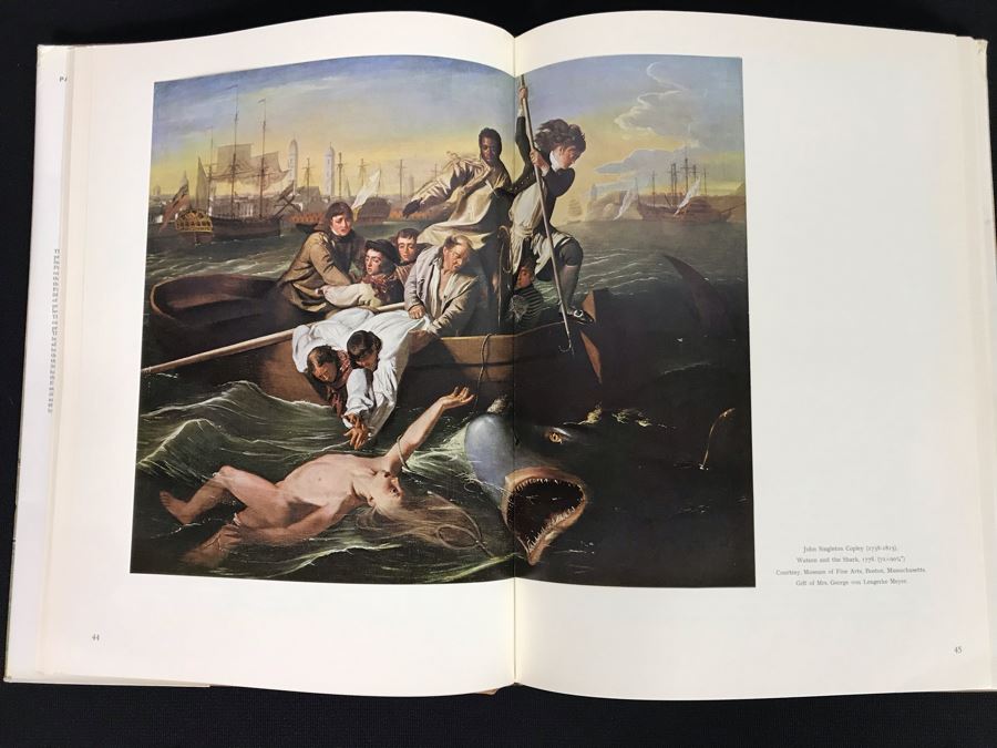 American Painting 2 Volumes Coffee Table Books Box Set 70-80455 Skira (JKE) [Photo 9]