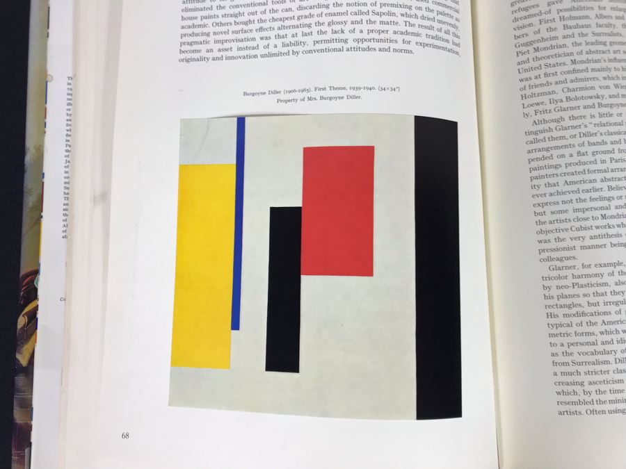 American Painting 2 Volumes Coffee Table Books Box Set 70-80455 Skira (JKE) [Photo 7]