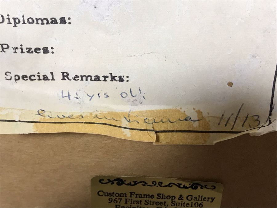 Stunning Original Still Life Painting Artist Signature Illegible Signed Lower Right - Tag On Back Of Painting Stating Lives In Vienna 9.5 X 11.5 (OFS) [Photo 14]