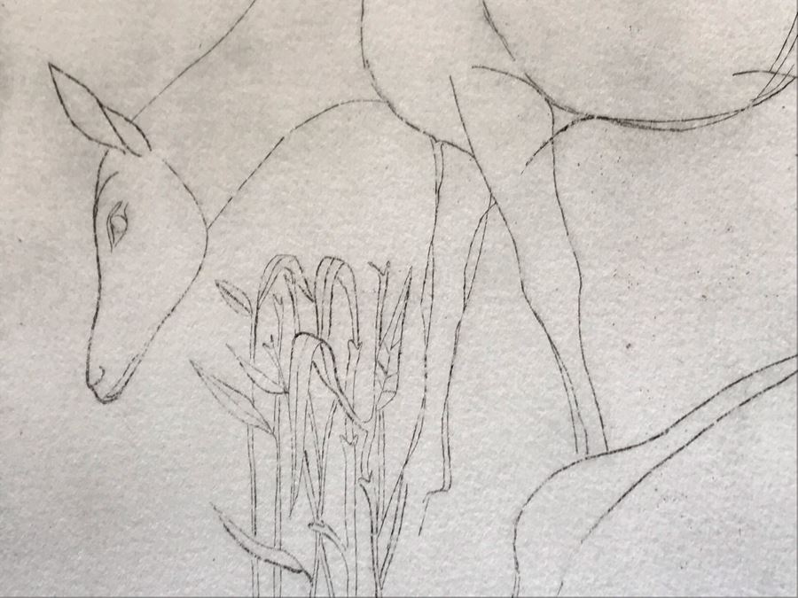 Vintage 1976 Ruth Osgood Unique Print Titled 'Antelope' 12 X 9 (JKE) [Photo 5]