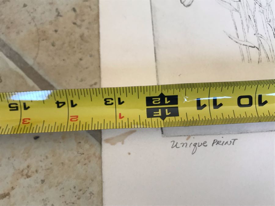 Vintage 1976 Ruth Osgood Unique Print Titled 'Antelope' 12 X 9 (JKE) [Photo 7]