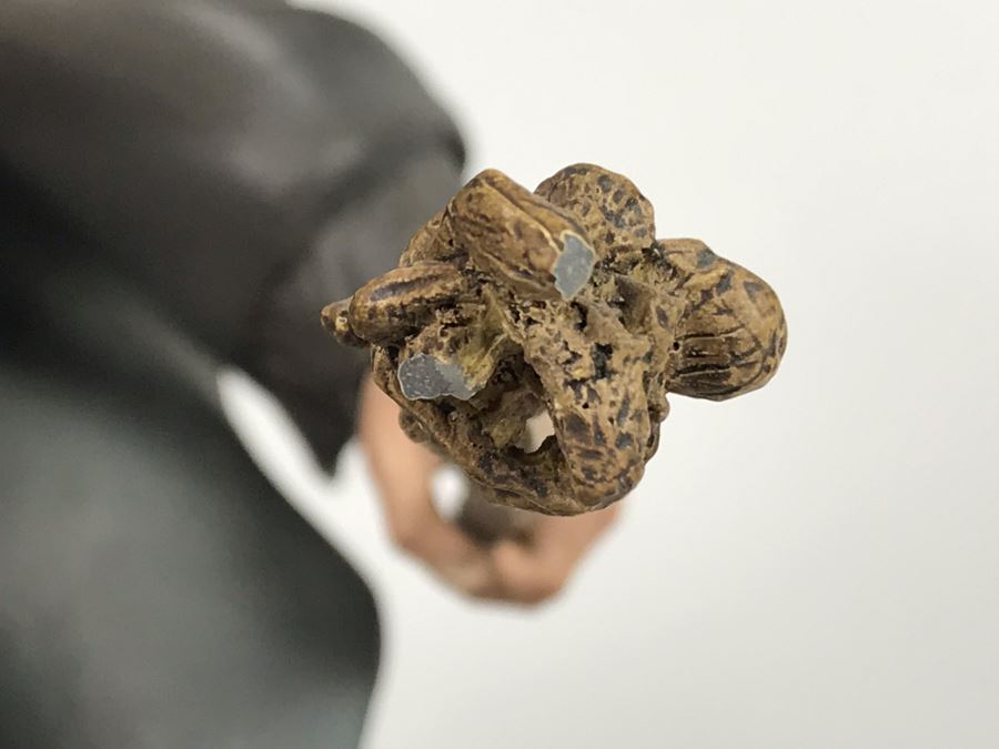 Limited Edition Sideshow Collectibles The Lord Of The Rings Gandalf The Grey Statue 386 Of 750 With Box 17'H [Photo 11]