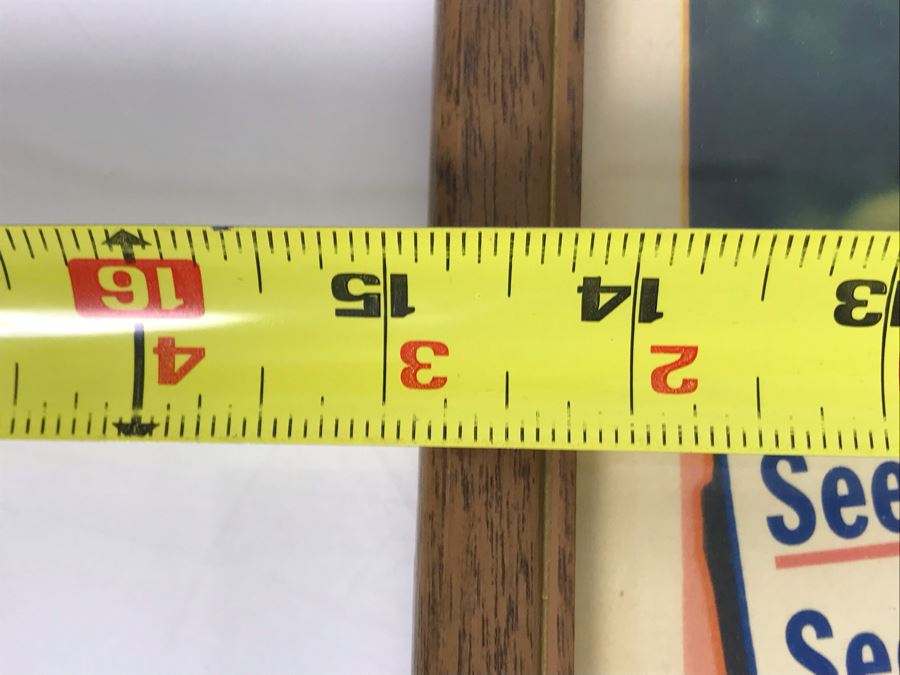 Amazon Quest 1949 Movie Poster Lobby Card Featuring Actress Carole Mathews Film Classics, Inc Framed 15 X 12 [Photo 8]