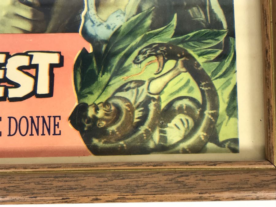 Amazon Quest 1949 Movie Poster Lobby Card Featuring Actress Carole Mathews Film Classics, Inc Framed 15 X 12 [Photo 5]