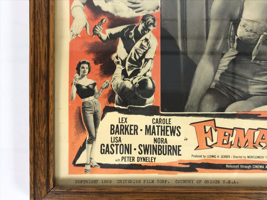 Female Fiends 1959 Movie Poster Lobby Card Featuring Actress Carole Mathews Criterion Film Corp. Framed 15 X 12 [Photo 3]