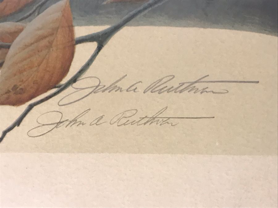 John A. Ruthven (1924-2020) Hand Signed Limited Edition Passenger Pigeon Bird Print By Wildlife Internationale, Inc 1974 Framed 24 X 21 [Photo 7]