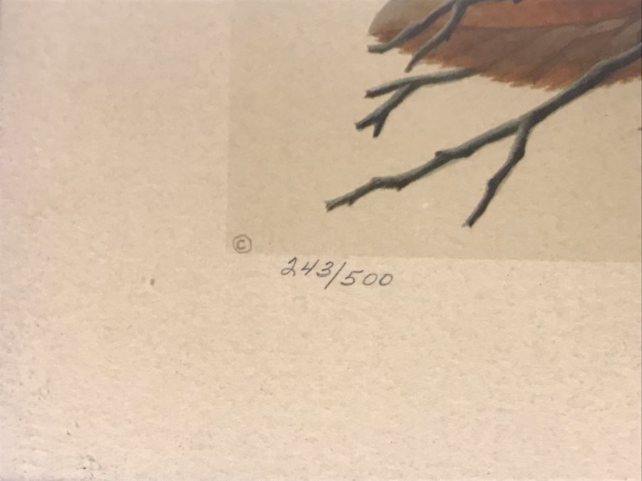 John A. Ruthven (1924-2020) Hand Signed Limited Edition Passenger Pigeon Bird Print By Wildlife Internationale, Inc 1974 Framed 24 X 21 [Photo 8]