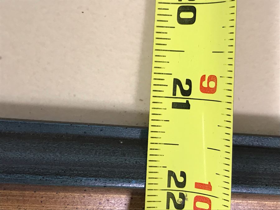 John A. Ruthven (1924-2020) Hand Signed Limited Edition Passenger Pigeon Bird Print By Wildlife Internationale, Inc 1974 Framed 24 X 21 [Photo 11]