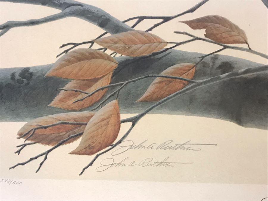 John A. Ruthven (1924-2020) Hand Signed Limited Edition Passenger Pigeon Bird Print By Wildlife Internationale, Inc 1974 Framed 24 X 21 [Photo 5]