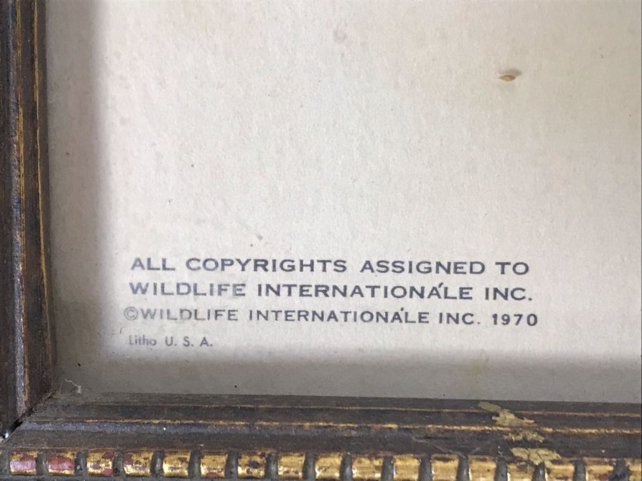 John A. Ruthven (1924-2020) Hand Signed Limited Edition Bengal Tiger Print By Wildlife Internationale, Inc 1970 Framed 24 X 32 [Photo 9]