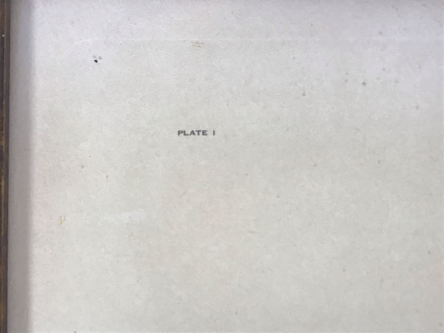 John A. Ruthven (1924-2020) Hand Signed Limited Edition Bengal Tiger Print By Wildlife Internationale, Inc 1970 Framed 24 X 32 [Photo 11]