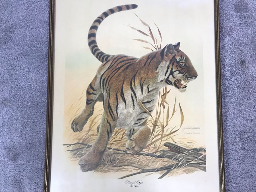 John A. Ruthven (1924-2020) Hand Signed Limited Edition Bengal Tiger ...