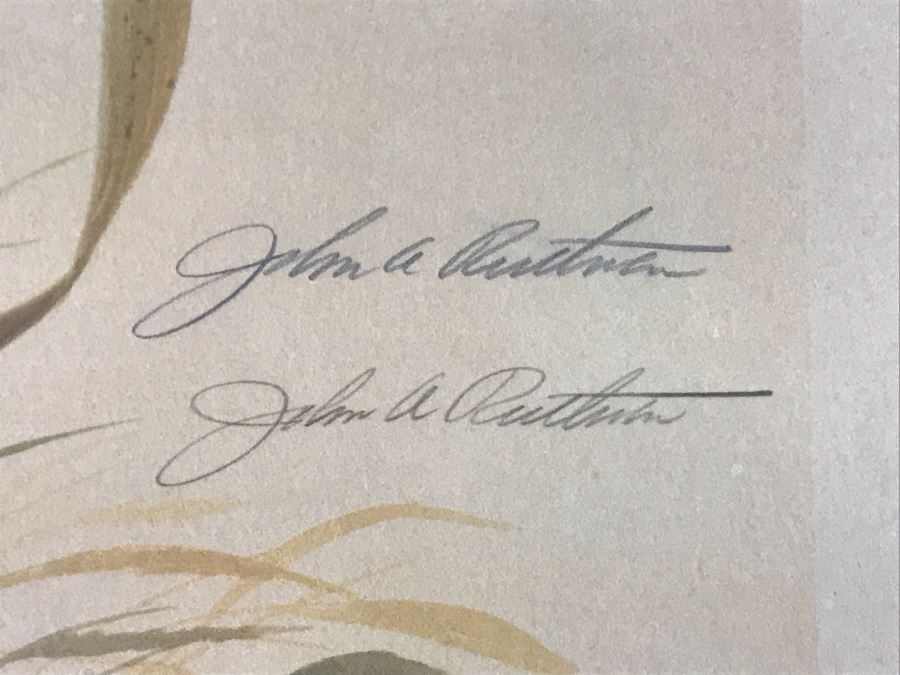 John A. Ruthven (1924-2020) Hand Signed Limited Edition Bengal Tiger Print By Wildlife Internationale, Inc 1970 Framed 24 X 32 [Photo 6]