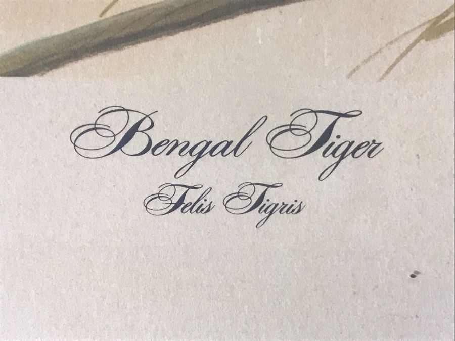 John A. Ruthven (1924-2020) Hand Signed Limited Edition Bengal Tiger Print By Wildlife Internationale, Inc 1970 Framed 24 X 32 [Photo 7]