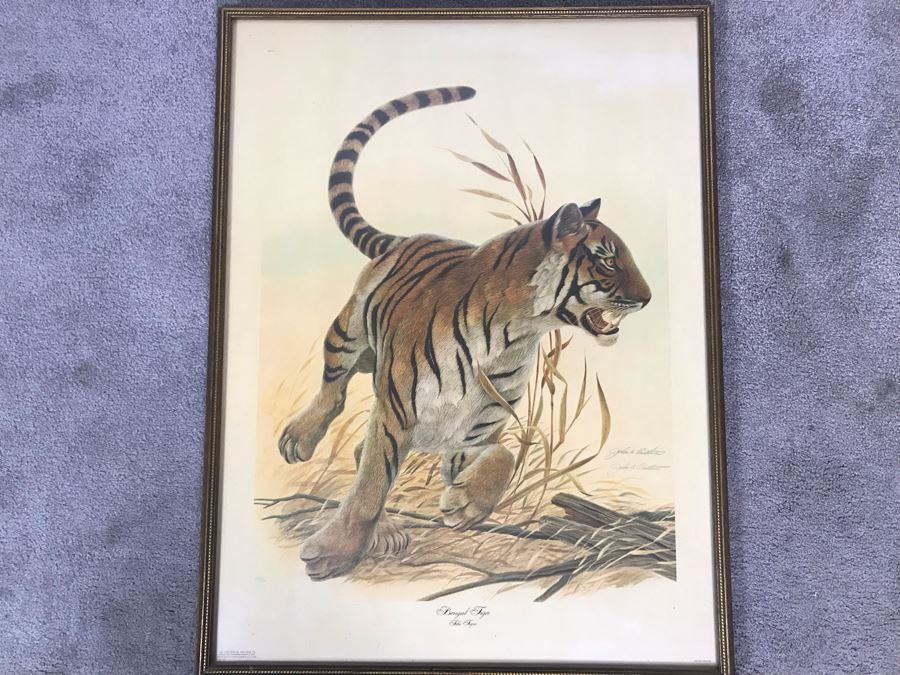 John A. Ruthven (1924-2020) Hand Signed Limited Edition Bengal Tiger Print By Wildlife Internationale, Inc 1970 Framed 24 X 32