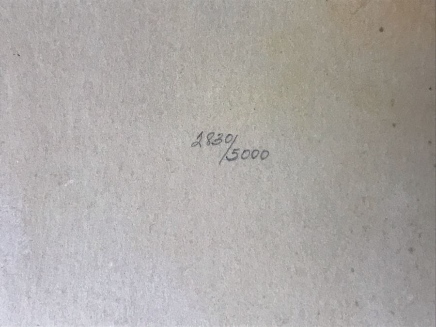 John A. Ruthven (1924-2020) Hand Signed Limited Edition Bengal Tiger Print By Wildlife Internationale, Inc 1970 Framed 24 X 32 [Photo 8]