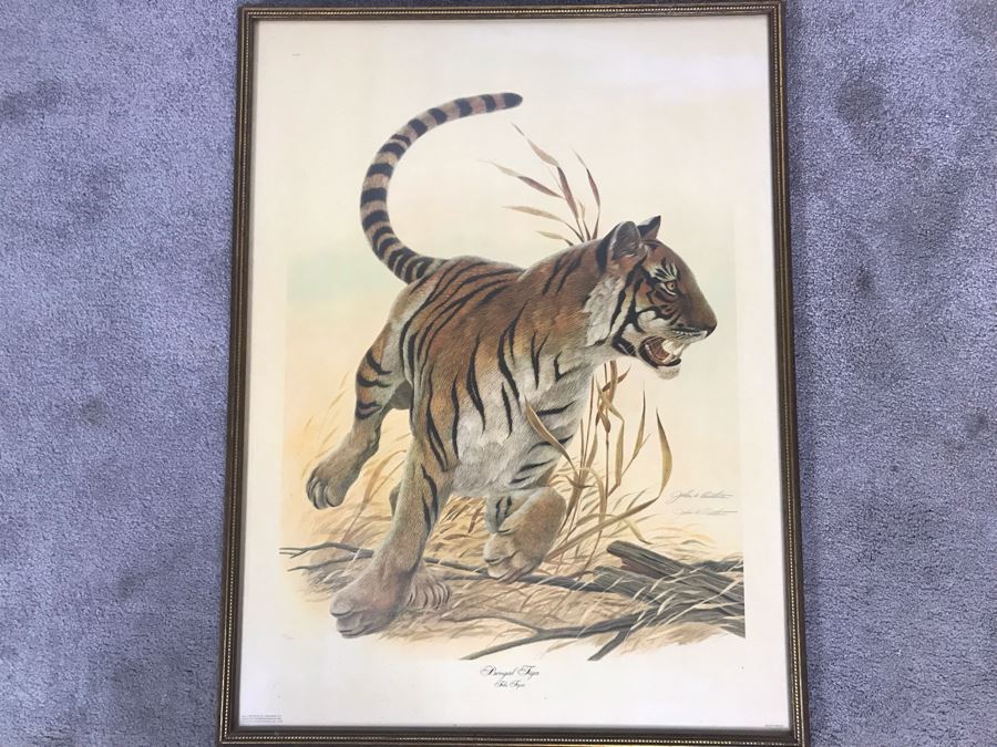 John A. Ruthven (1924-2020) Hand Signed Limited Edition Bengal Tiger Print By Wildlife Internationale, Inc 1970 Framed 24 X 32 [Photo 2]