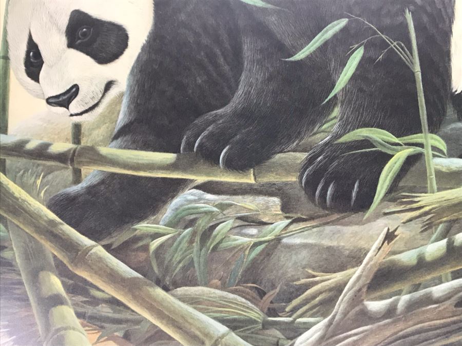 John A. Ruthven (1924-2020) Hand Signed Limited Edition Giant Pandas Print By Wildlife Internationale, Inc 1972 Framed 24 X 32 [Photo 6]