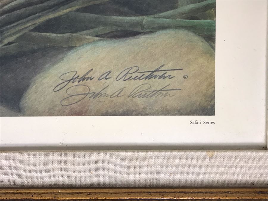 John A. Ruthven (1924-2020) Hand Signed Limited Edition Giant Pandas Print By Wildlife Internationale, Inc 1972 Framed 24 X 32 [Photo 6]