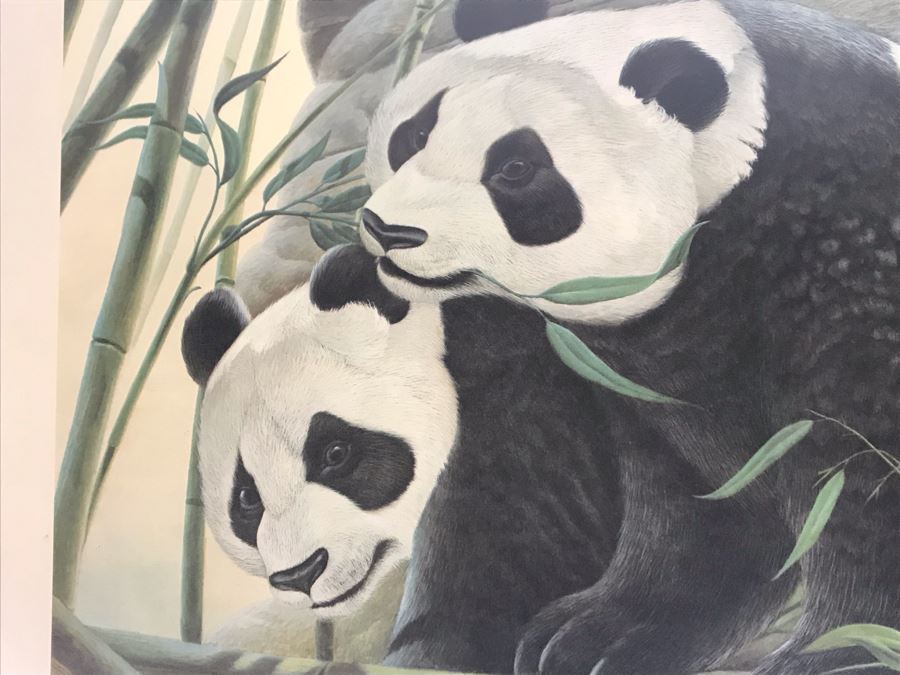 John A. Ruthven (1924-2020) Hand Signed Limited Edition Giant Pandas Print By Wildlife Internationale, Inc 1972 Framed 24 X 32 [Photo 5]