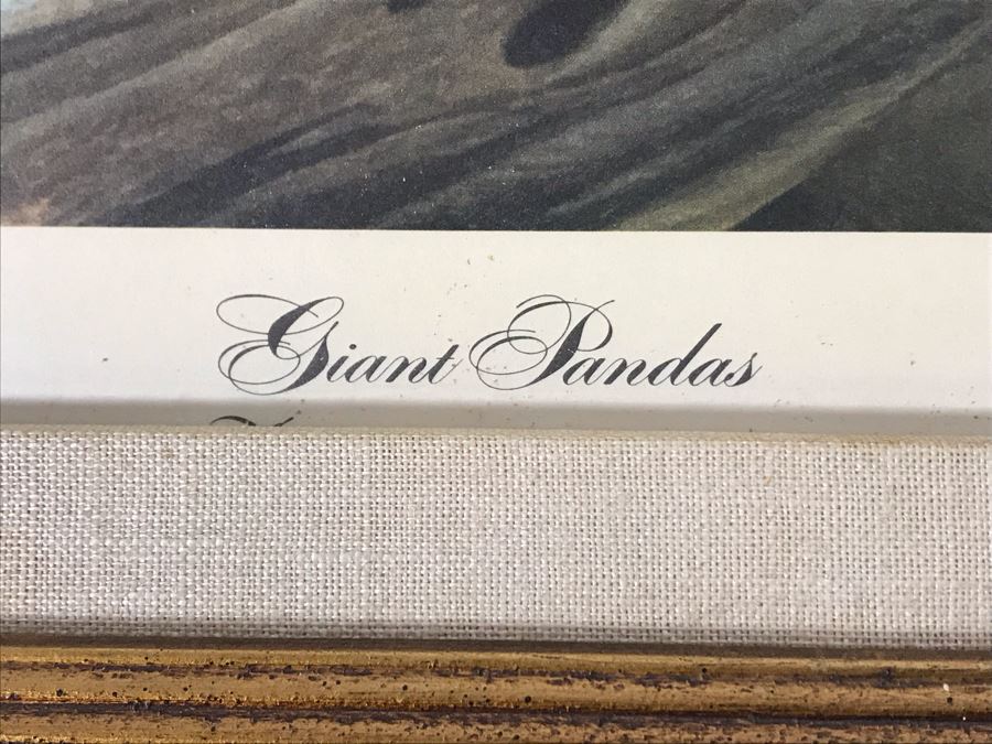 John A. Ruthven (1924-2020) Hand Signed Limited Edition Giant Pandas Print By Wildlife Internationale, Inc 1972 Framed 24 X 32 [Photo 8]