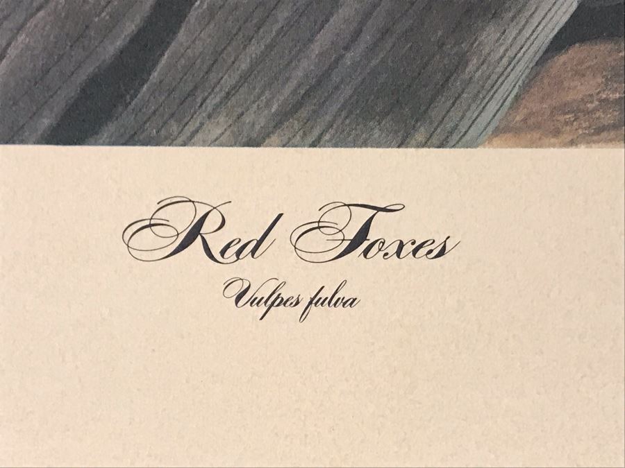 John A. Ruthven (1924-2020) Hand Signed Limited Edition Red Foxes Print By Wildlife Internationale, Inc 1971 32 X 24 [Photo 6]