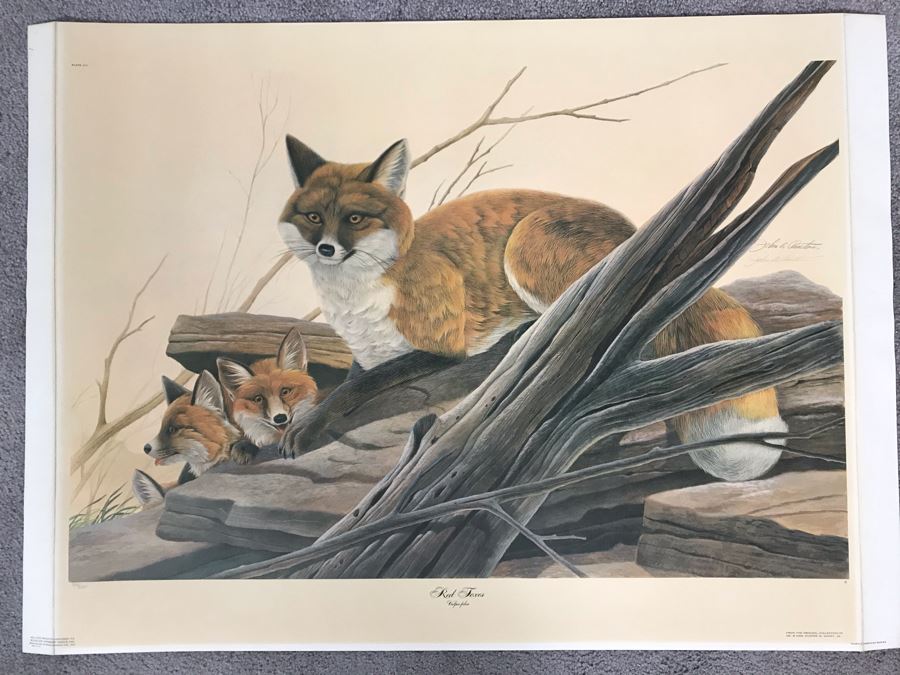 John A. Ruthven (1924-2020) Hand Signed Limited Edition Red Foxes Print By Wildlife Internationale, Inc 1971 32 X 24 [Photo 1]