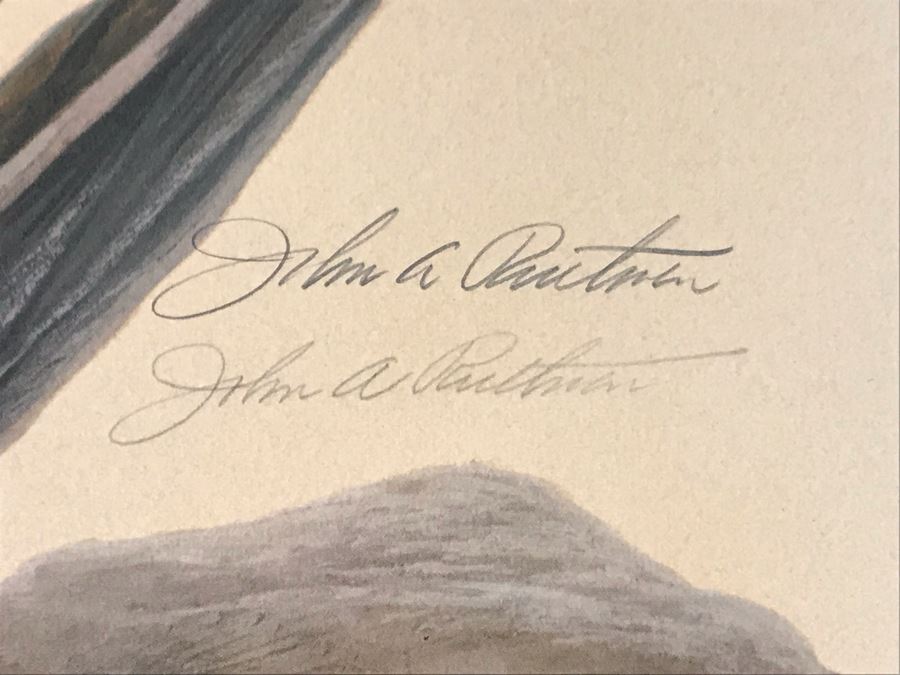 John A. Ruthven (1924-2020) Hand Signed Limited Edition Red Foxes Print By Wildlife Internationale, Inc 1971 32 X 24 [Photo 5]