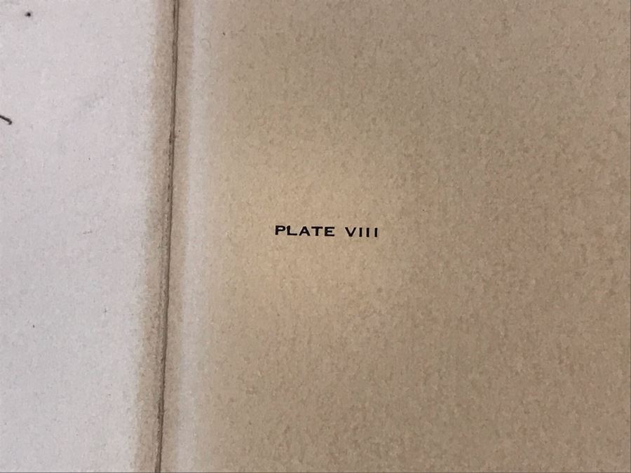 John A. Ruthven (1924-2020) Hand Signed Limited Edition Red Foxes Print By Wildlife Internationale, Inc 1971 32 X 24 [Photo 11]