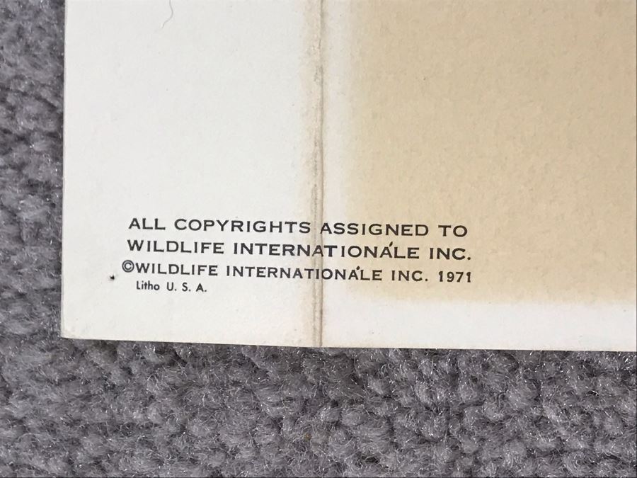 John A. Ruthven (1924-2020) Hand Signed Limited Edition Red Foxes Print By Wildlife Internationale, Inc 1971 32 X 24 [Photo 9]