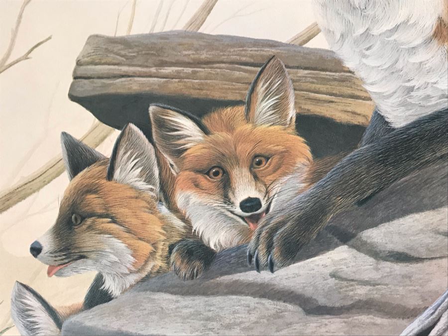 John A. Ruthven (1924-2020) Hand Signed Limited Edition Red Foxes Print By Wildlife Internationale, Inc 1971 32 X 24 [Photo 4]