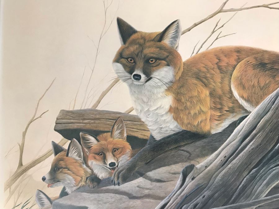 John A. Ruthven (1924-2020) Hand Signed Limited Edition Red Foxes Print By Wildlife Internationale, Inc 1971 32 X 24 [Photo 2]