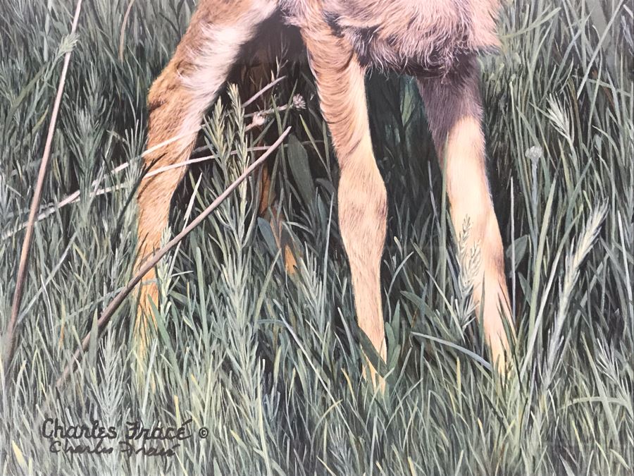 Charles Fracé (1926-2005) Hand Signed Print Titled 'New Arrival' Of Doe Deer Framed 18 X 22 [Photo 7]
