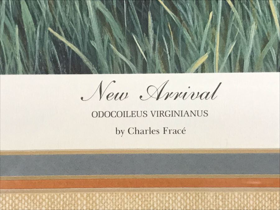 Charles Fracé (1926-2005) Hand Signed Print Titled 'New Arrival' Of Doe Deer Framed 18 X 22 [Photo 9]
