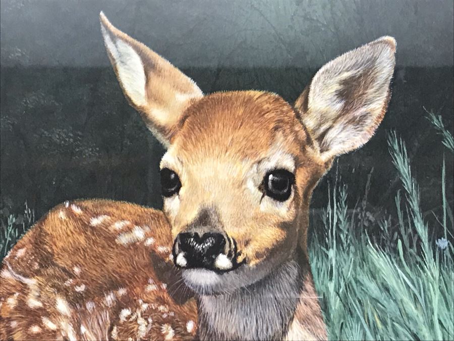 Charles Fracé (1926-2005) Hand Signed Print Titled 'New Arrival' Of Doe Deer Framed 18 X 22 [Photo 5]